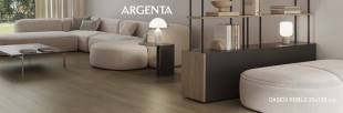 Керамогранит Argenta Ceramica Dagen Roble мат. рект. (20х120) матовый